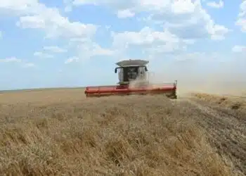 На протест излизат българските зърнопроизводители!