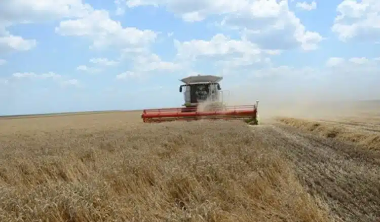 На протест излизат българските зърнопроизводители!