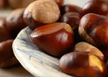 Нужни са Ви само малко кестени и паяците ще изчезнат завинаги от Вашето жилище!