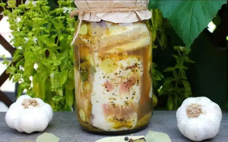 Коя мазнина е по-полезна: синската мас или олиото?Отговорът ще Ви изненада