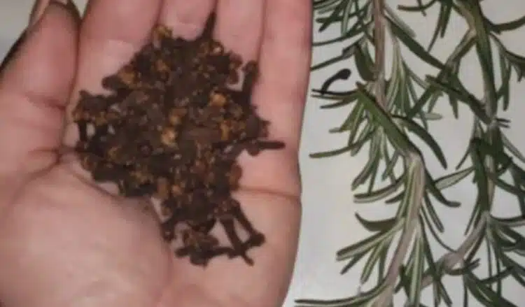 Малко хора знаят за него: лечебно средство от изключително силни подправки