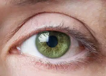 Разкриха най-полезните храни за здравето на очите