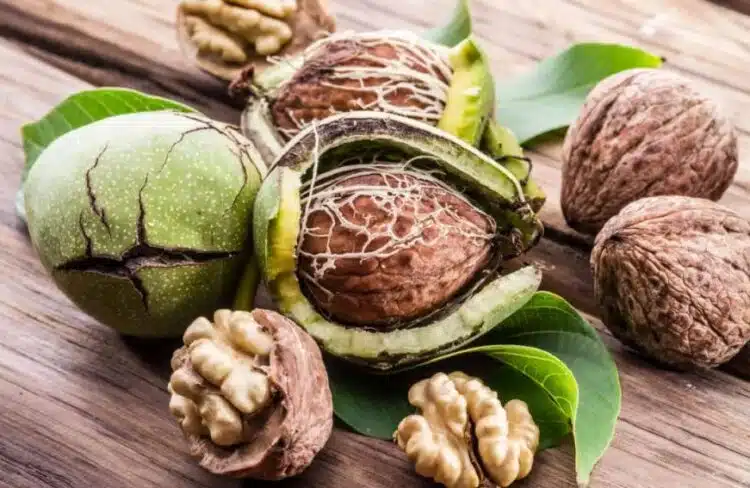 Какво ще се случи с тялото, ако ядете орехи всеки ден: Важно предупреждение!