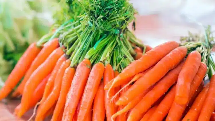 Как да отглеждате големи моркови: просто не ги поливайте по това време – трик на градинаря