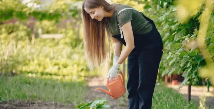 Сортове или хибриди: агроном разказа какво наистина трябва да засадите в градината си