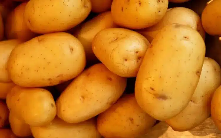 Смесете картофи, брашно, заквасена сметана и изпържете: мързеливи пайове в тиган – пухкави и без мая