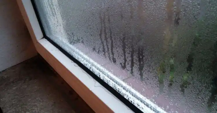 Ефективен и лесен начин да се отървете от конденза по прозорците: нещо обикновено ще свърши работа