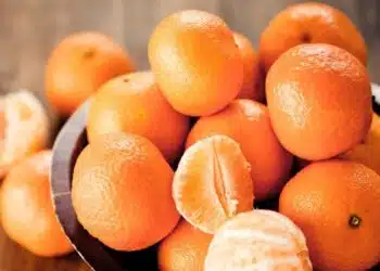 Как да приготвите тор от кори от мандарини: не всички градинари знаят – 2 отлични варианта