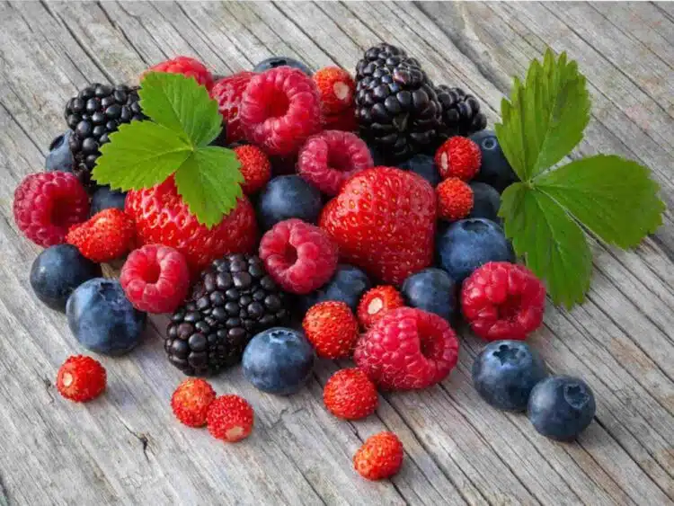 Какви плодове не трябва да ядете, ако кърмите: важна информация за майките