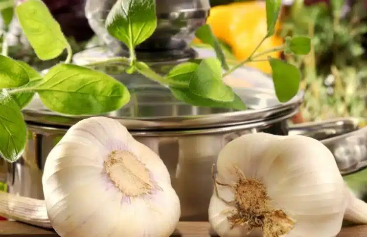 Защо да добавяте чесън в саксии: полезен трик, за който не всеки знае