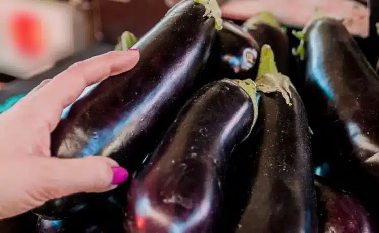 Тези сортове патладжан произвеждат огромна реколта и не изискват почти никакви грижи – отгоре от агроном