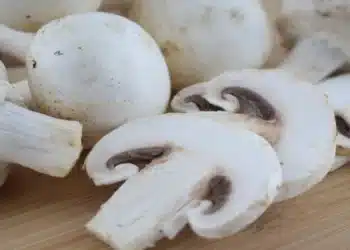 Тези гъби предпазват от рак: учени от Португалия направиха неочаквано откритие