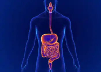 ТОП 5 храни, които подобряват храносмилането според диетолог