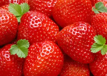 4 правила за отглеждане на ягоди: следвайте ги и реколтата ще бъде отлична