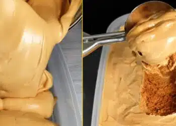 Луксозен домашен сладолед само с 3 съставки (Рецепта)