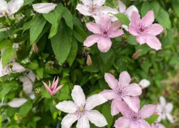 Хороскоп за 3 юли за всички зодии: ден на мощна положителна енергия