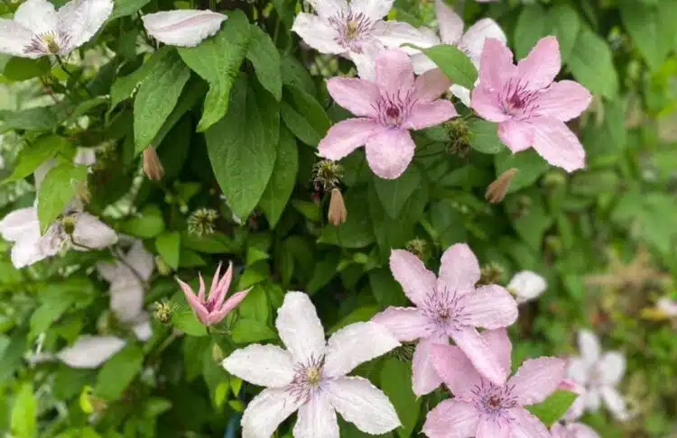 Хороскоп за 3 юли за всички зодии: ден на мощна положителна енергия