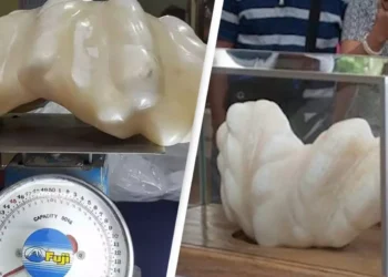 Мъж държа 34-килограмова перла под леглото си в продължение на 10 години, без да осъзнава колко струва