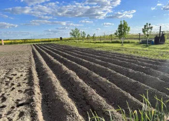 Ето коя градинска работа се върши задължително до края на октомври!