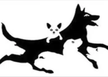 Колко кучета виждаш? Това разкрива много за менталната ти възраст