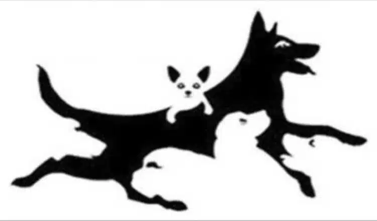 Колко кучета виждаш? Това разкрива много за менталната ти възраст