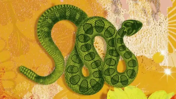 Годината на Зелената дървена змия е приготвила по един голям обрат за всяка зодия